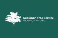 Phoenix Tree Service image 1